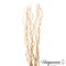 Uniquewise 12 pcs Natural Decorative Dry Branches Authentic Sticks, Home Decoration and Wedding Craft, DIY Greenery Plants Craft Vases fillers Garden Hotel Farmhouse Decor